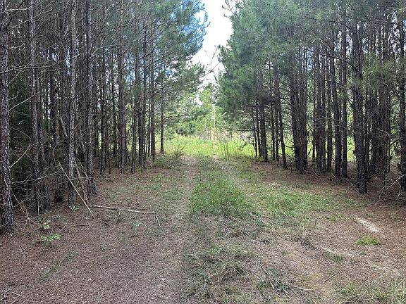 2nd image of 0 County Road 61