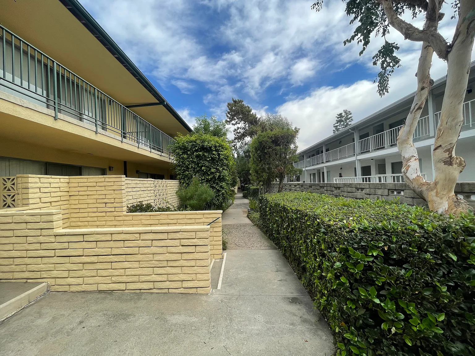244 S El Molino Ave — Photo 3