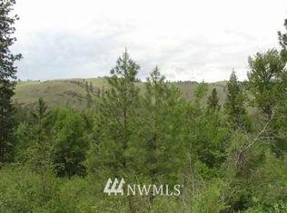 592 E Chewuch Rd, Winthrop, WA 98862