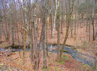 0 Smokey Ave, Schenevus, NY 12155