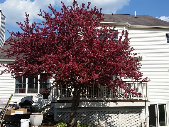 2nd image of 235 Trail Ct
