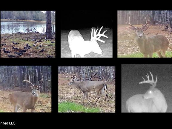 2nd image of 348 Beaverdam Rd