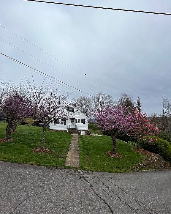 Street view -flowering trees