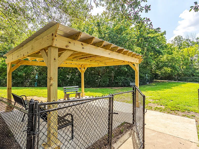 Dog Park