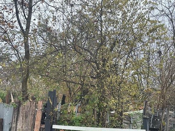 2nd image of 839 Fortune St
