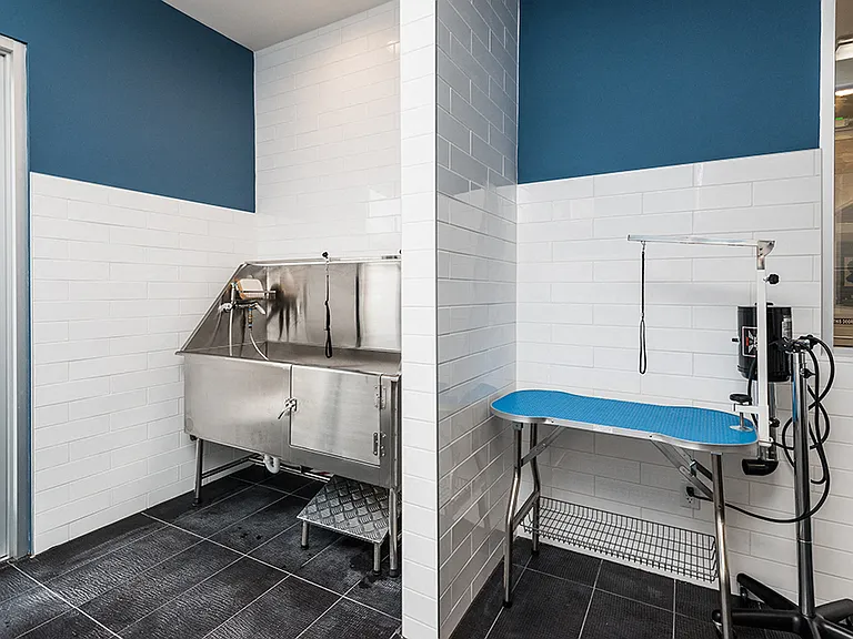 Cascades at Northlake Apartments — Photo 6