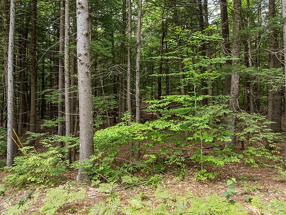 4th image of 30 D Forest Pond Road