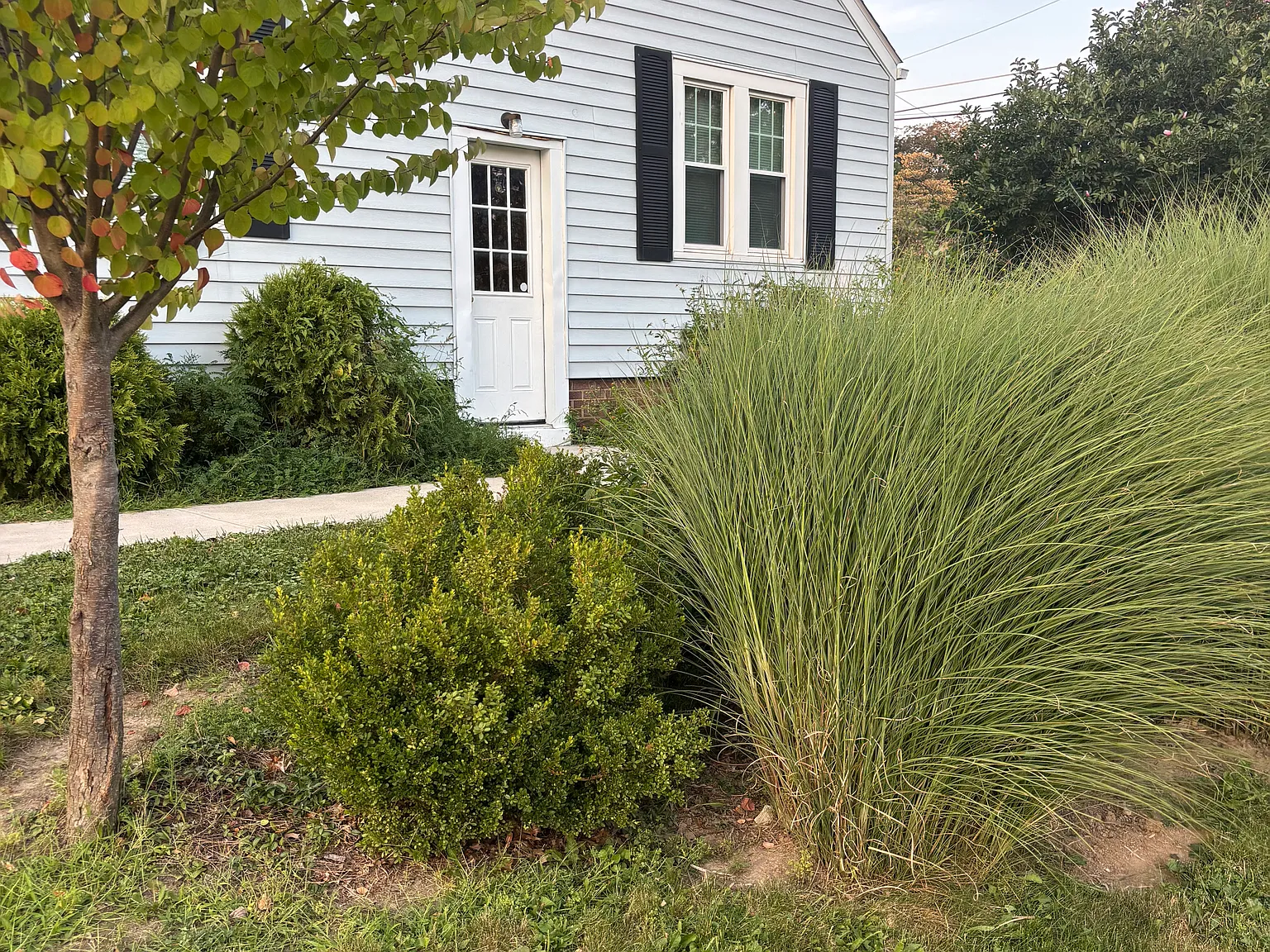 3 bed, 1308 sqft, $1,500 — Photo 2