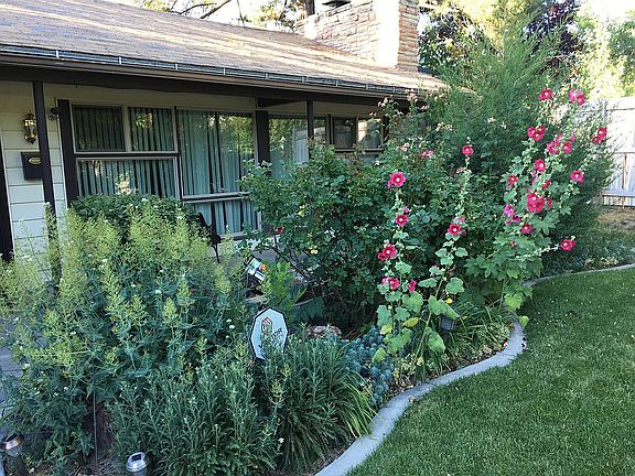 Front of House in Summer