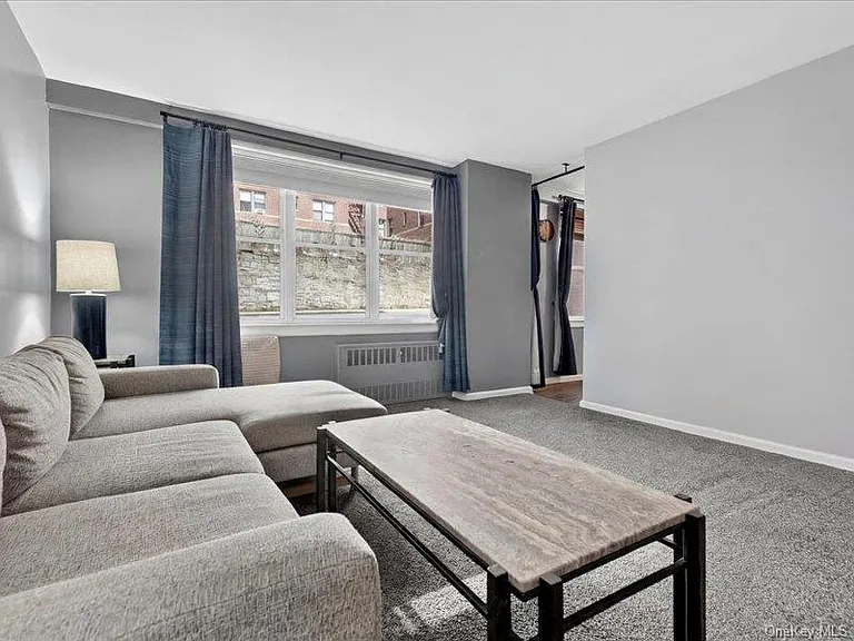 25 Franklin Ave #2K — Photo 4