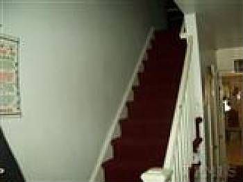 4th image of 3343 Kingsland Ave