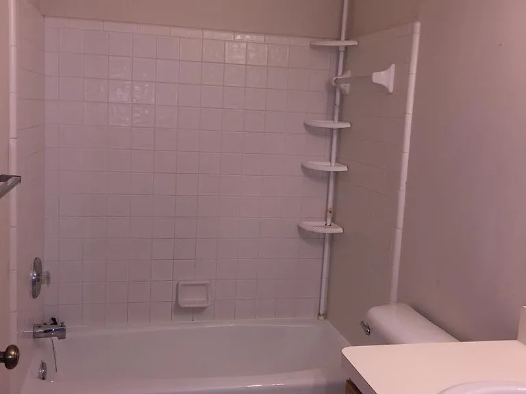 3217 Pinebluff Ct — Photo 22