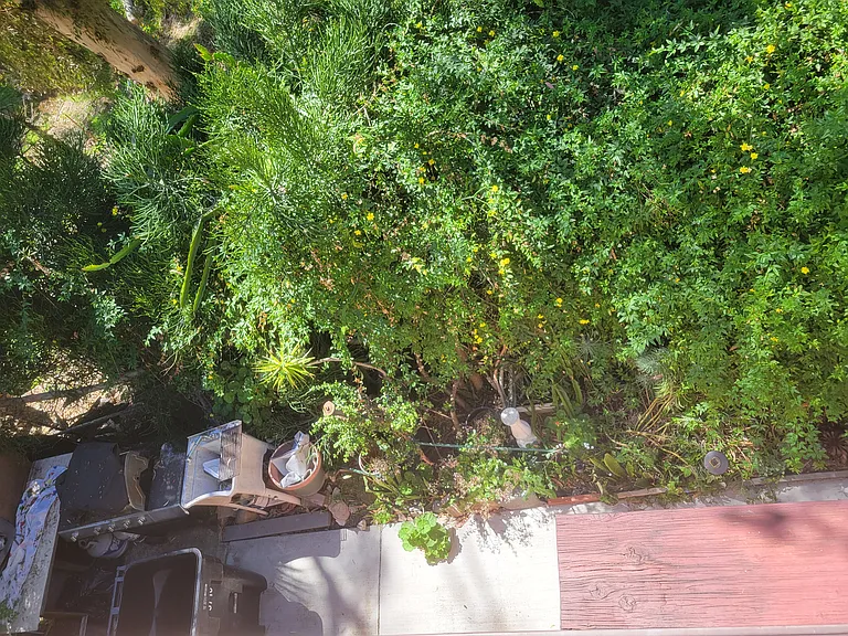 3716 Robinson Pl — Photo 48