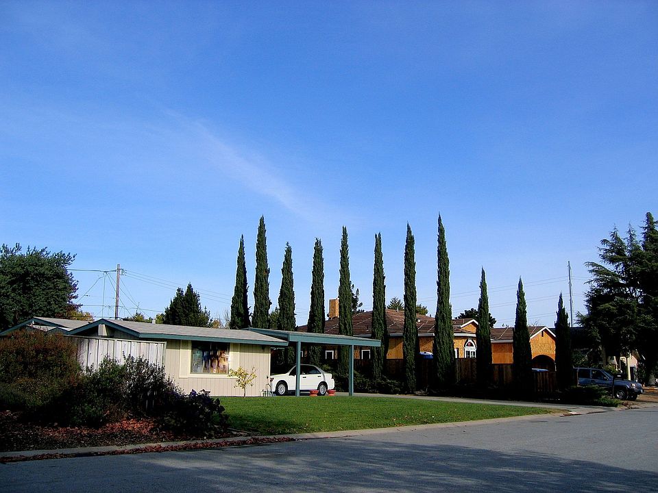 View looking NW (new home in background)