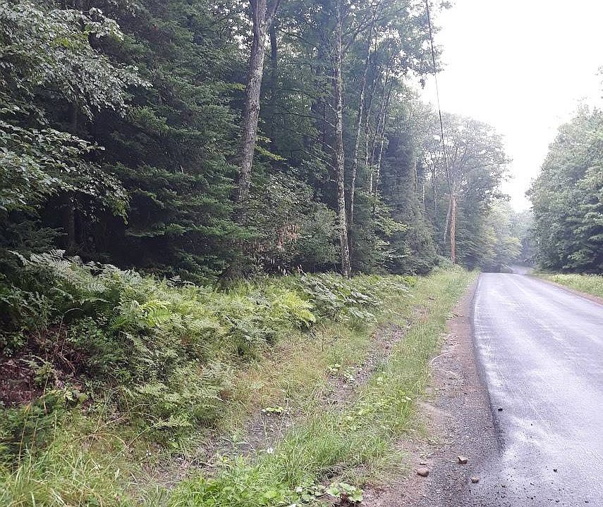 0 Bingham Rd, Salisbury Center, NY 13454 MLS 11310957 Zillow