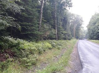 0 Bingham Rd, Salisbury Center, NY 13454