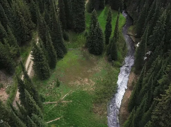 NW Eighty Ac Pack Creek Rd, Elk City, ID 83525