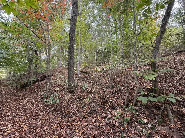 Highland Ave, Richlands, VA 24641