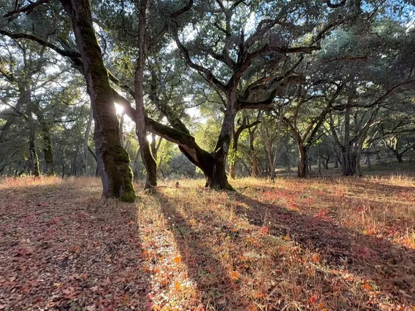 9 Garzas Trl Lot 49, Carmel, CA 93923