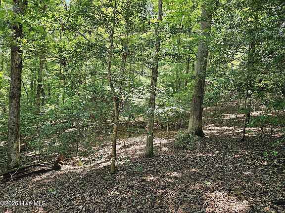 4th image of LOT 10 Bobcat Ln #10