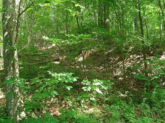 2nd image of 2526 Hatcher Mountain Rd #26