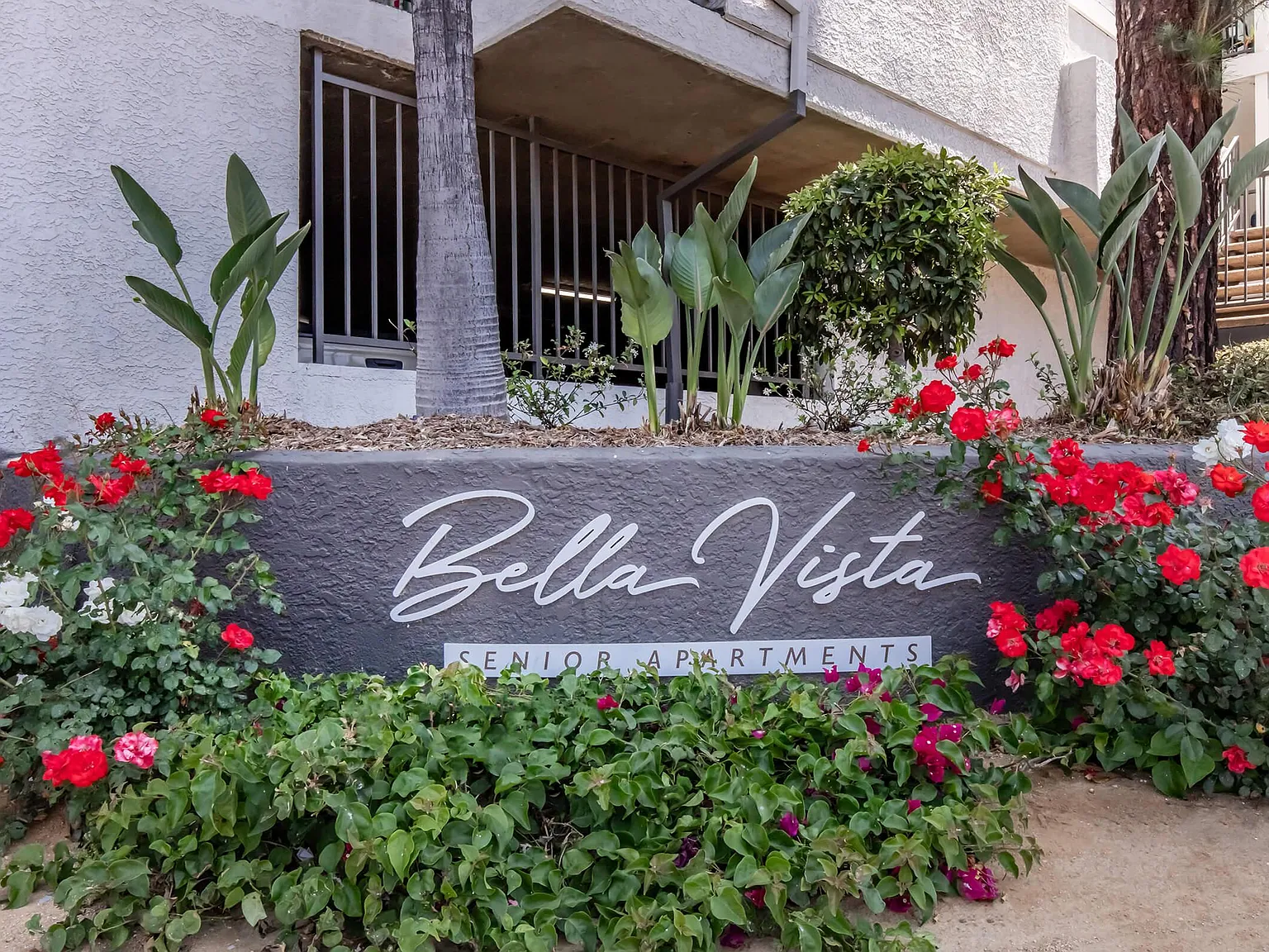 Bella Vista Senior Apartments — Photo 1