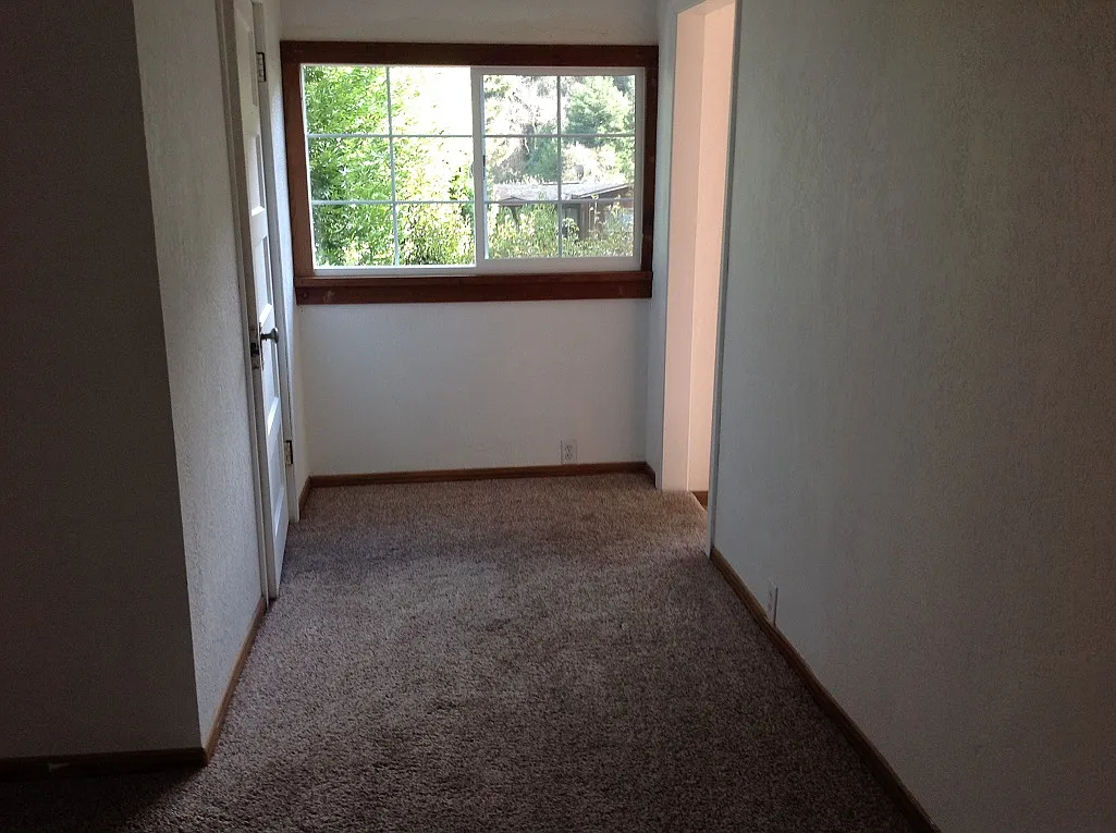 1 bed, 700 sqft, $1,200 — Photo 4