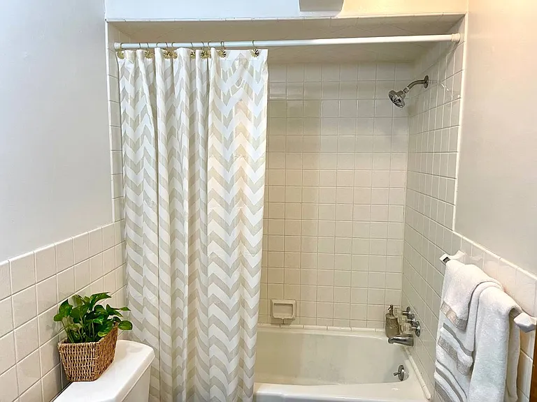 Tub/ Shower Combination