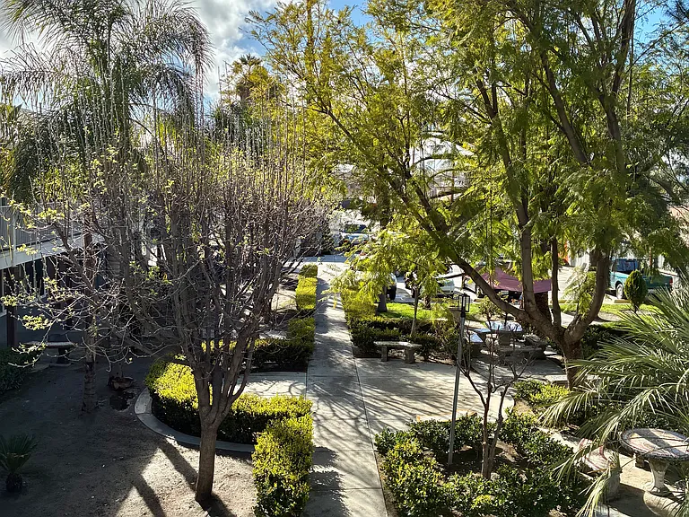 26430 San Jacinto St #1B — Photo 10