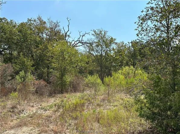 2290 County Road 278, Snook, TX 77878