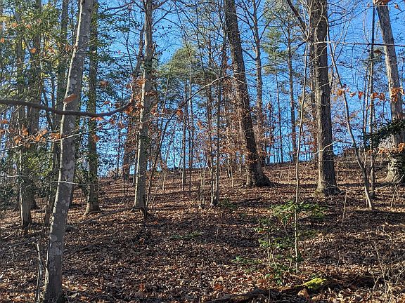5th image of 50 Bear Mountain Ln