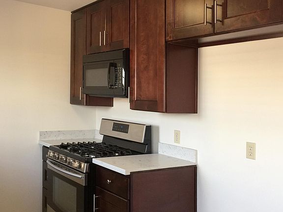 Upgraded oven / gas range and overhead microwave