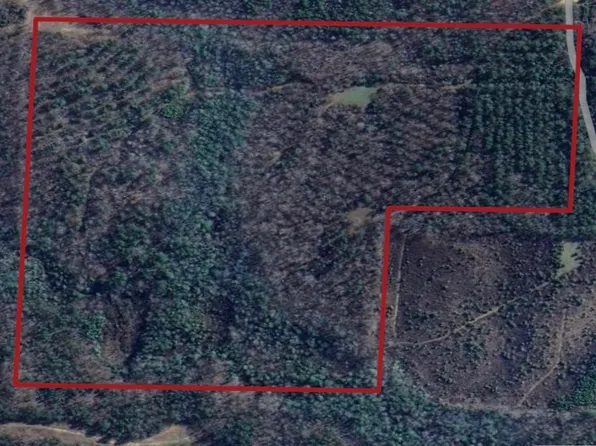 0 Jimmy Brown Rd #0, Hamilton, AL 35570