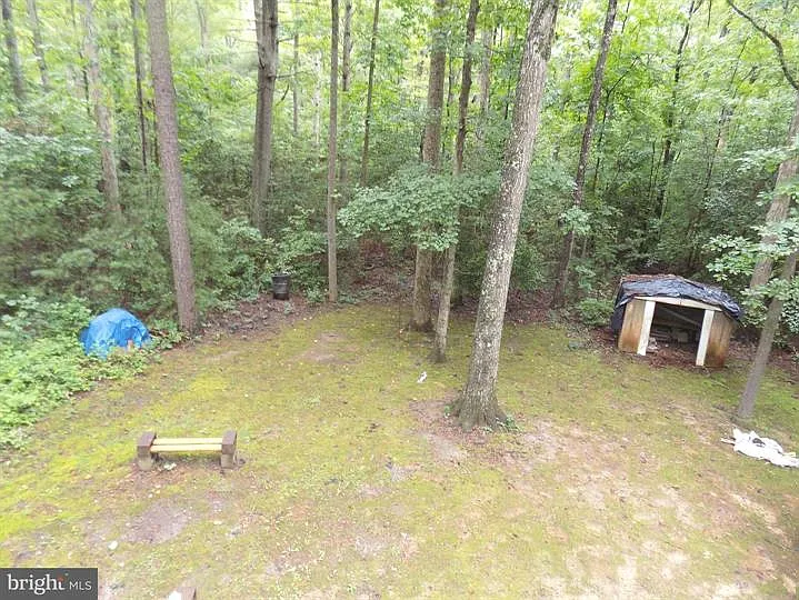 135 Land Or Dr — Photo 3