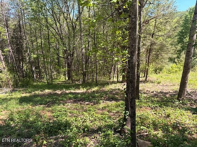 1st image of LOT 12 Bivens Ct