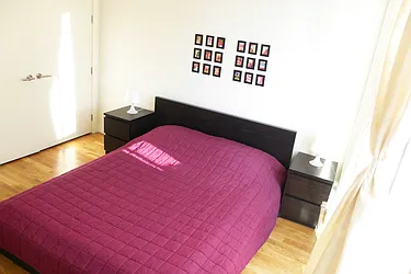 Rented by Link Real Estate NYC