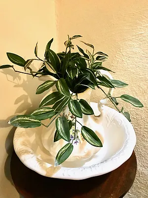 Rented by Boerum Hill Realty | media 24