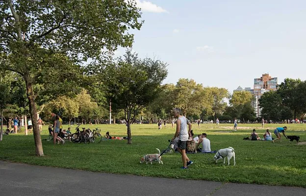 Rented by Cohane Sean C | media 18