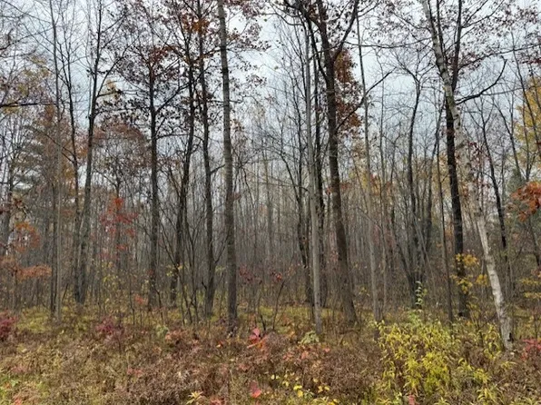 Lot 11 N Silver Birch Drive, Cable, WI 54821