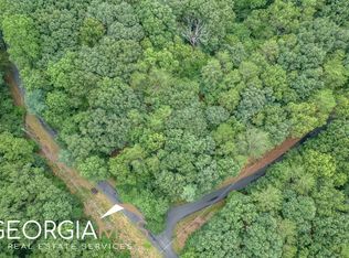 1408 Oglethorpe Mountain Rd, Jasper, GA 30143