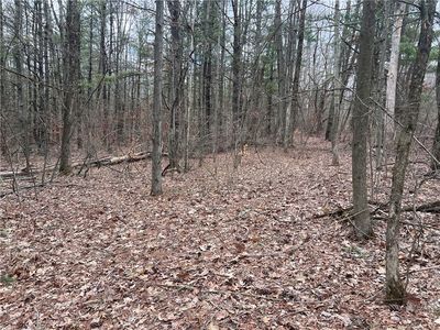 (Undisclosed Address), Lindley, NY, 14858