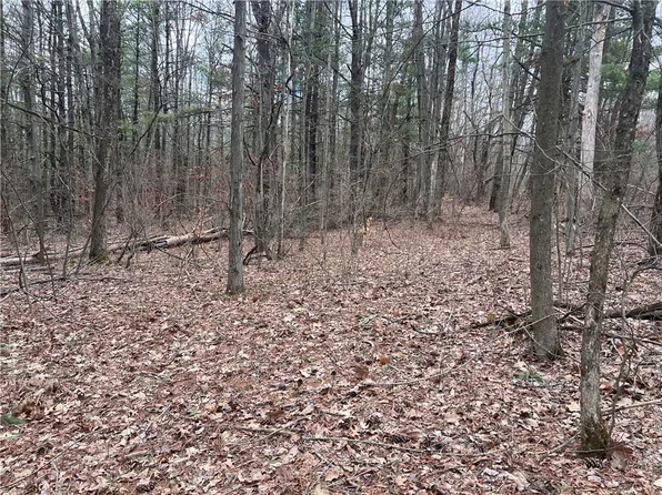 (undisclosed Address), Lindley, NY 14858