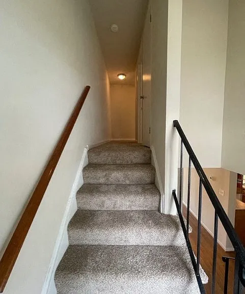 Longview — Photo 118