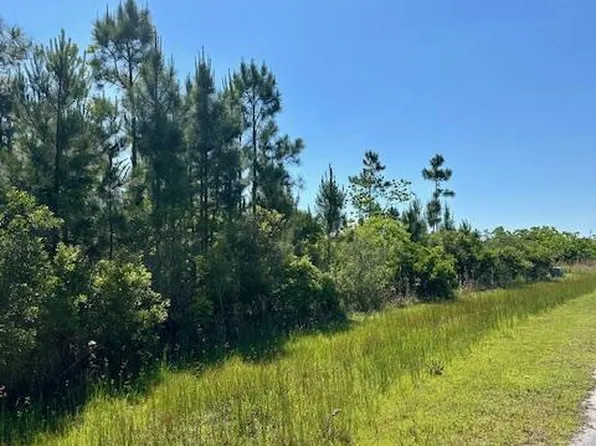 140 Ibis Dr, Wewahitchka, FL 32465