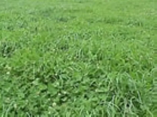 2573 Joplin Ave, Denver, IA 50622