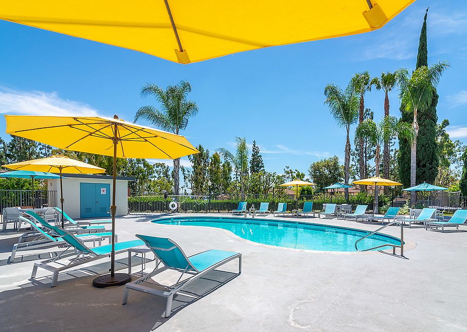 Swimming pool surrounded by lounge chairs and palm trees.