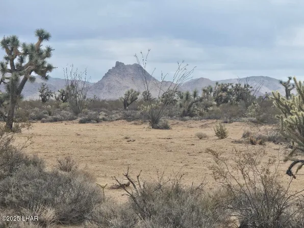 PARCEL 450 S Kit Carson Rd, Yucca, AZ 86438