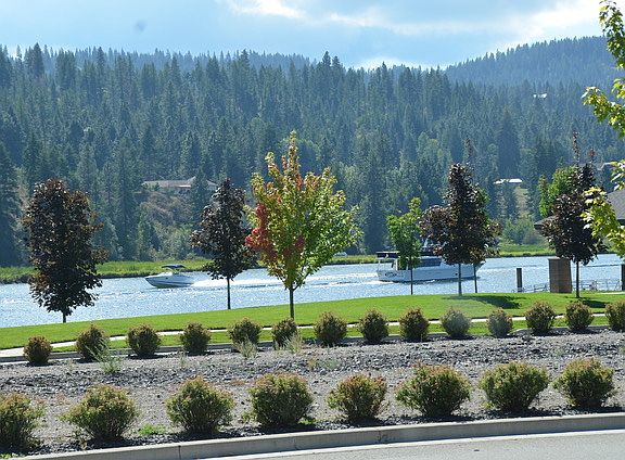 View from Front Porch