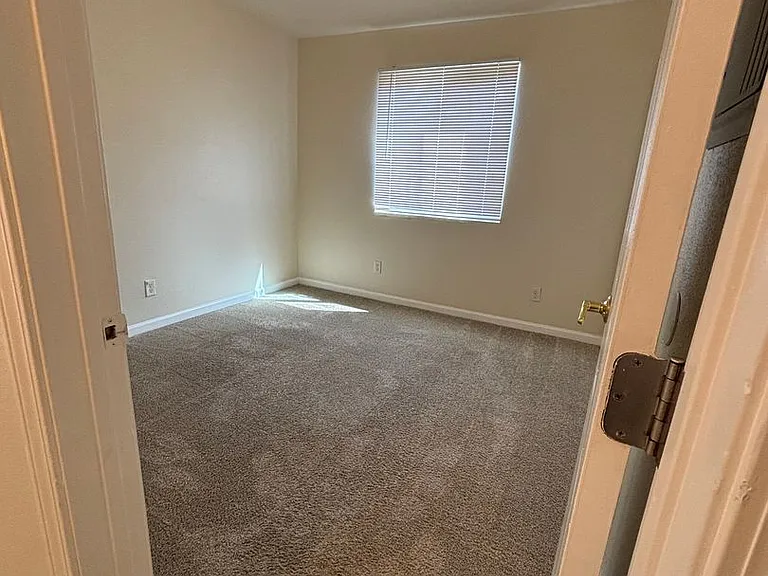 Large Bedrooms and Balconies! — Photo 10