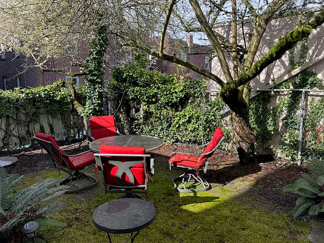 Studio, 325 sqft, $1,350 — Photo 3
